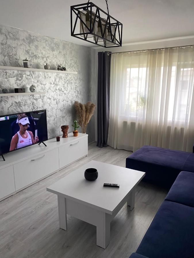 Alesandru Apartament بيتستِ المظهر الخارجي الصورة